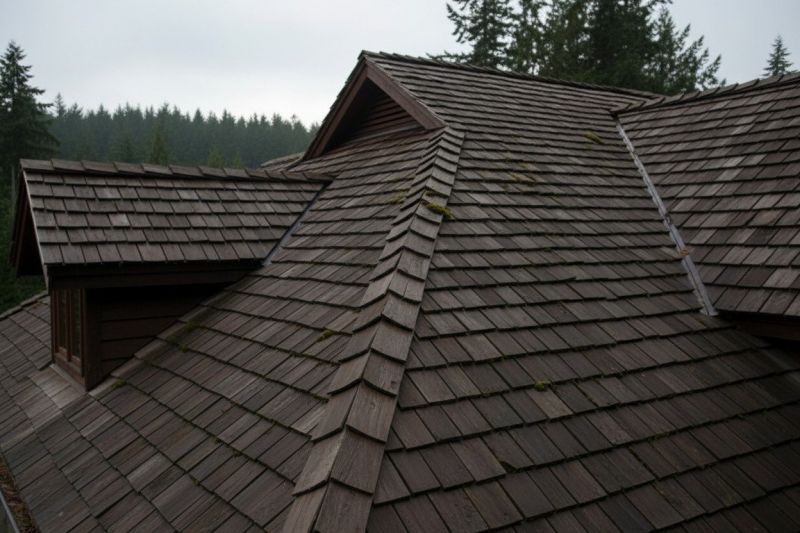 Cedar Roof Replacement detail